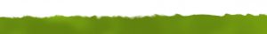 Sargladen Footer Hintergrundgrafik